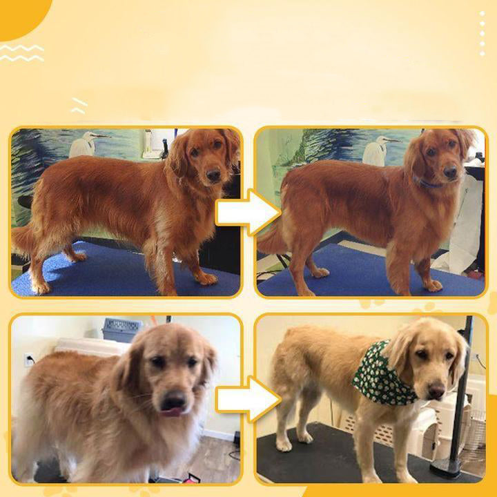 "Professionell husdjursvårdskam med stålborst, ergonomiskt grepp och rundade kanter för säker pälsvård av hundar och katter."