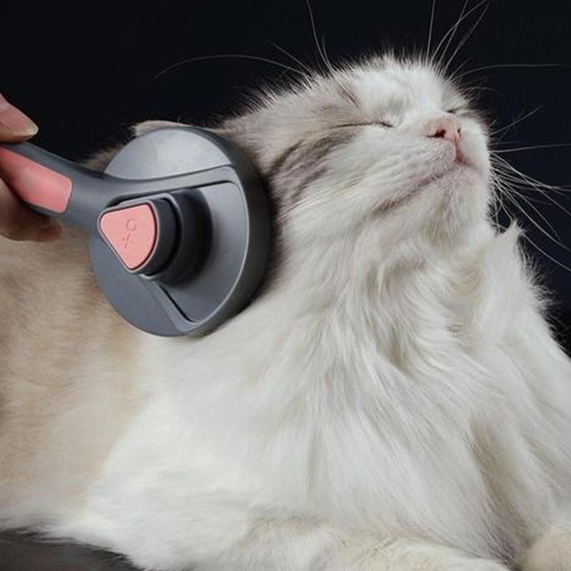 "Professionell husdjursvårdskam med stålborst, ergonomiskt grepp och rundade kanter för säker pälsvård av hundar och katter."