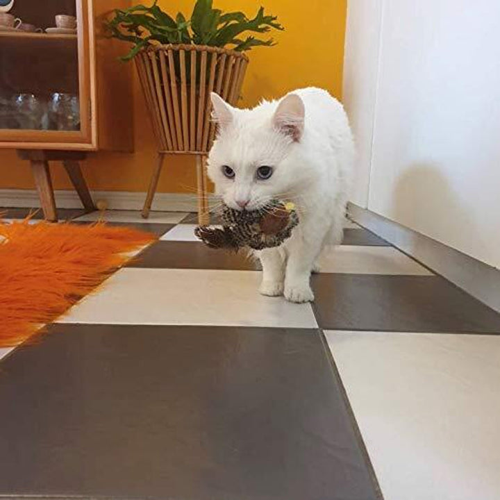 "Realistisk fågelleksak för katter med äkta fjädrar och ljudstimuli, perfekt för att hålla katten aktiv och nyfiken."