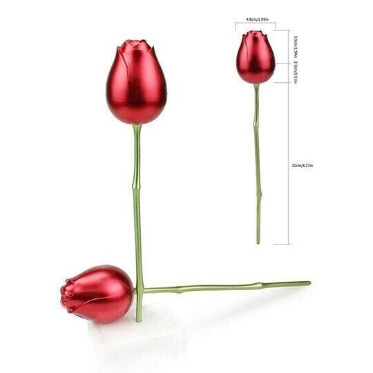 "Romantiskt ros halsband i hjärtform med röd ros, perfekt för Alla Hjärtans Dag gåva, elegant smyckesset, kvinnors accessoar"