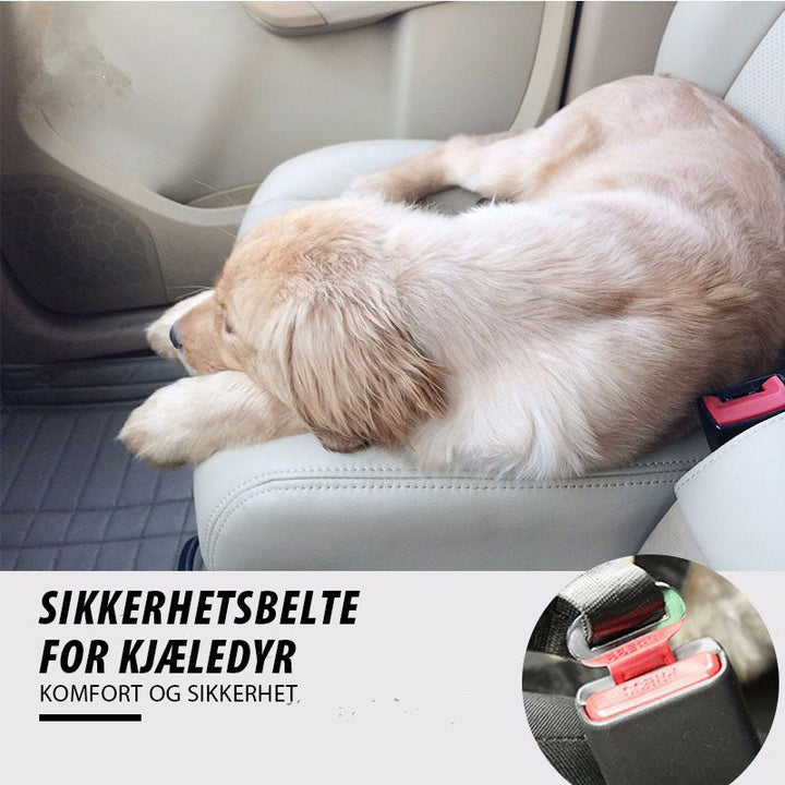 "Säkerhetsbälte för husdjur, justerbart hållbart polyester, flera färger, för trygg bilresa, 42-70 cm, bekväm passform"