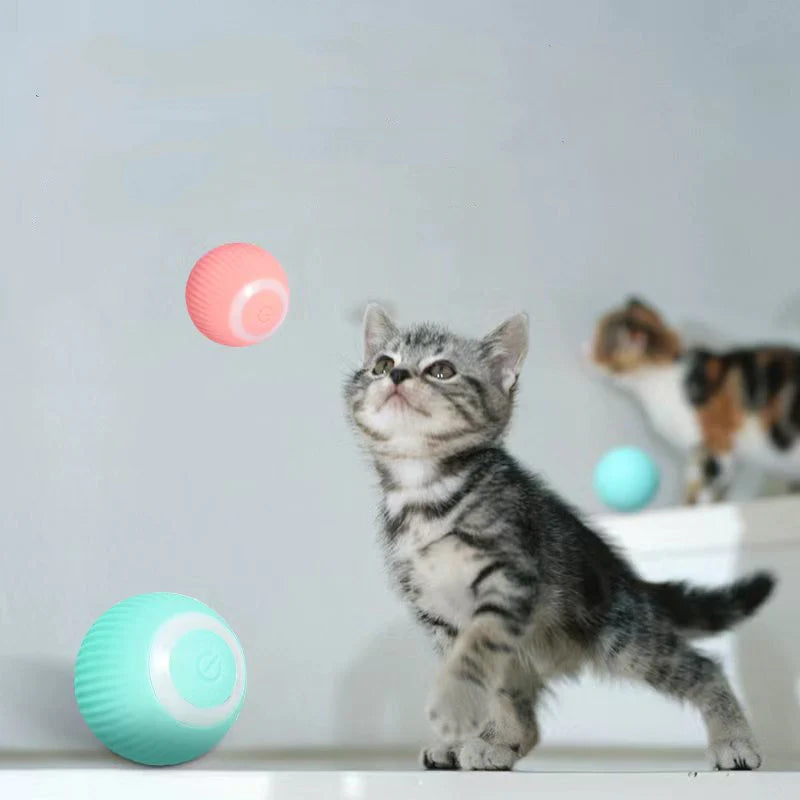 "Självrullande interaktiv kattboll i blått, rosa - Håller katten aktiv med automatisk rullning och blinkande ljus."