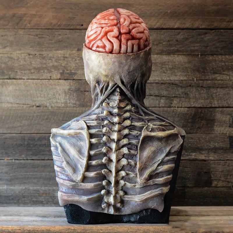 "Skrämmande unisex latex skelettmask för Halloween, realistisk design med markerade konturer och spöklikt uttryck."