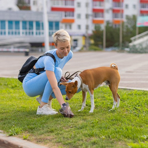 "Slitstarka luktfria hundpåsar, ogenomskinliga i diskret design, 1000 st perfekt för hygieniska hundpromenader."