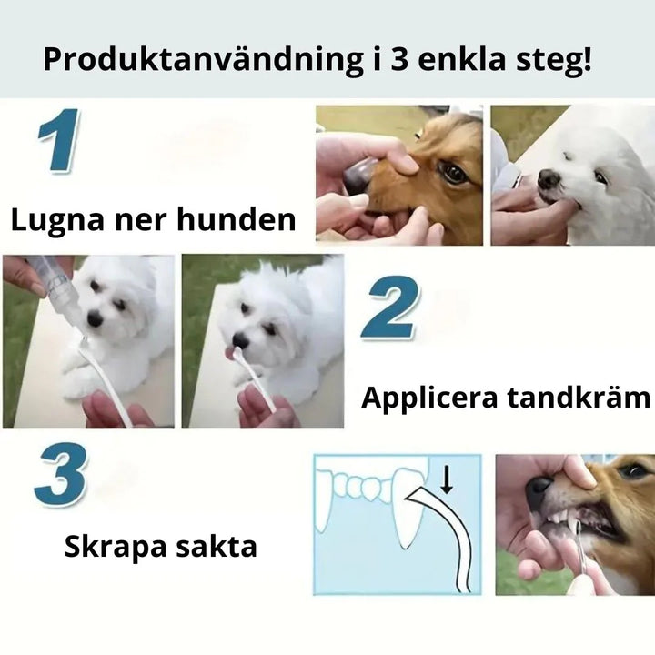 "Tandstensskrapa 3 set för hund & katt, enkel tandvård hemma, säker rengöring för husdjurs tänder."