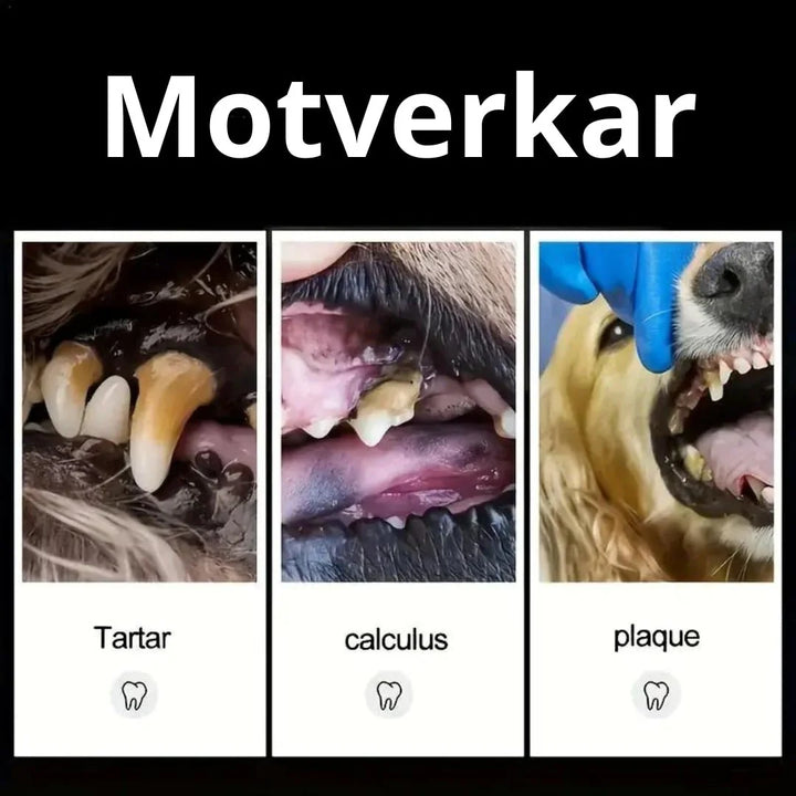 "Tandstensskrapa 3 set för hund & katt, enkel tandvård hemma, säker rengöring för husdjurs tänder."