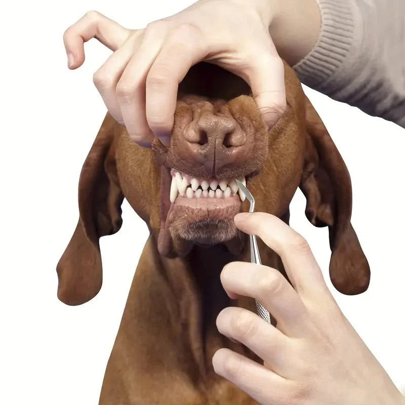 "Tandstensskrapa 3 set för hund & katt, enkel tandvård hemma, säker rengöring för husdjurs tänder."