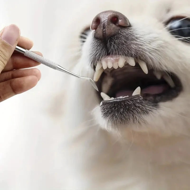 "Tandstensskrapa 3 set för hund & katt, enkel tandvård hemma, säker rengöring för husdjurs tänder."