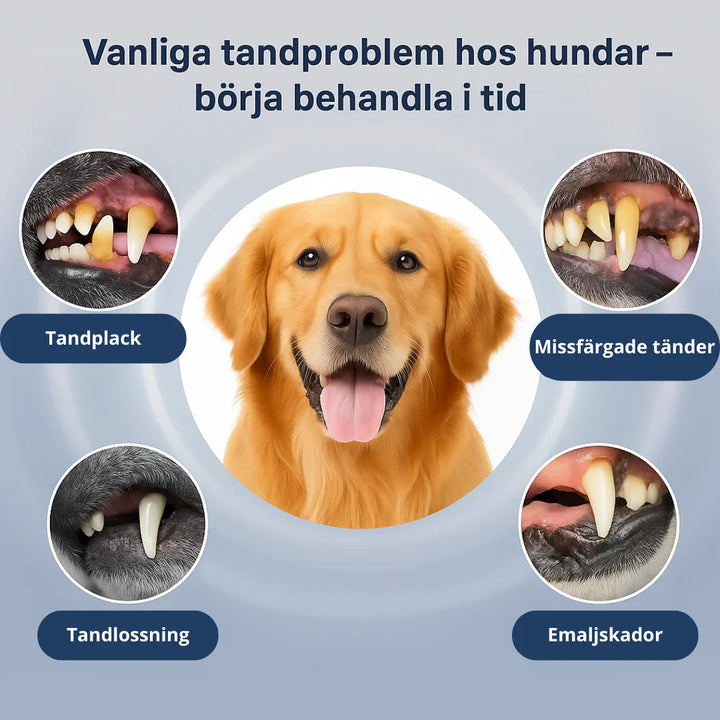 "Ultraljud tandskrapa för husdjur, vit med grå detaljer, tar bort plack och tandsten med olika lägen för optimal rengöring."