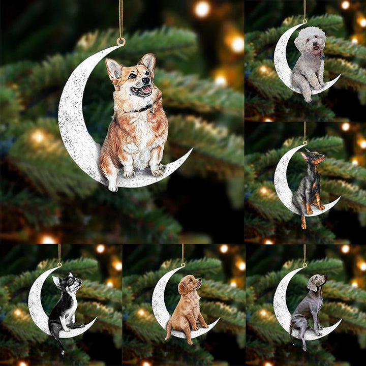 "Unik tvåsidig hängande prydnad i glimmerplast, färgglad och iögonfallande, perfekt som inredningsdetalj eller julpynt."