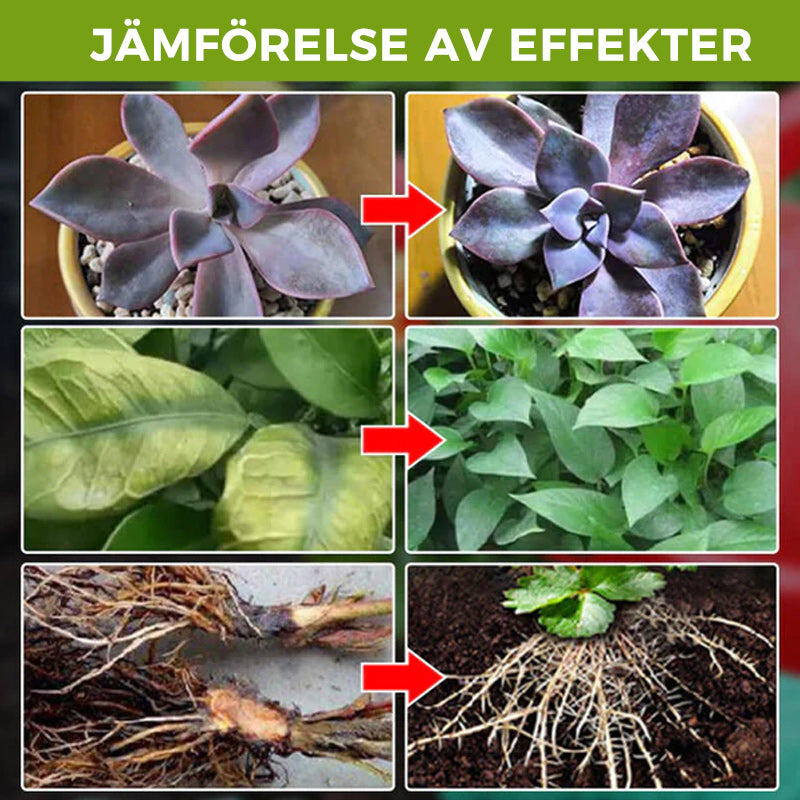 "Universellt växttillägg ökar växttillväxten; klar vätska i liten 50ml flaska, perfekt för alla typer av växter."