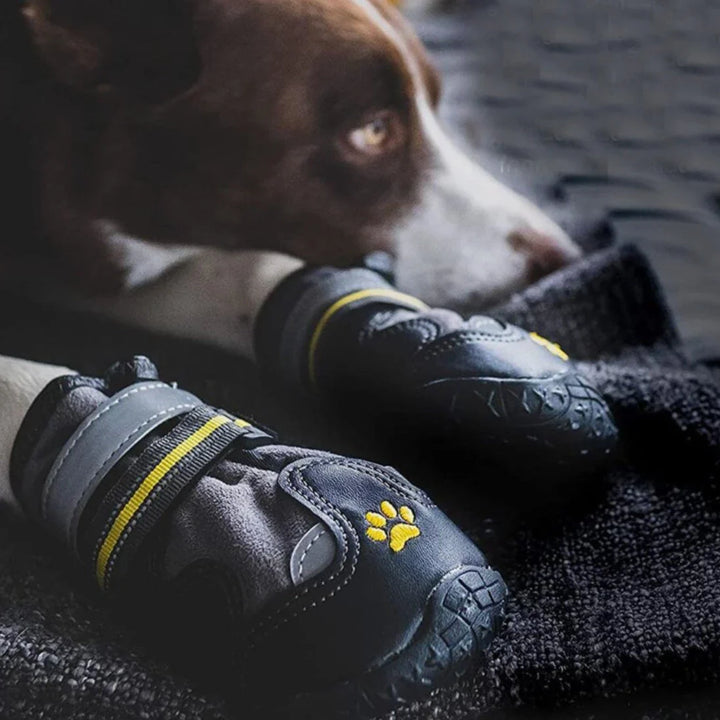 "Vattentäta hundskor med halkfri sula och reflekterande detaljer ger trygghet och stil för alla väderlekar."
