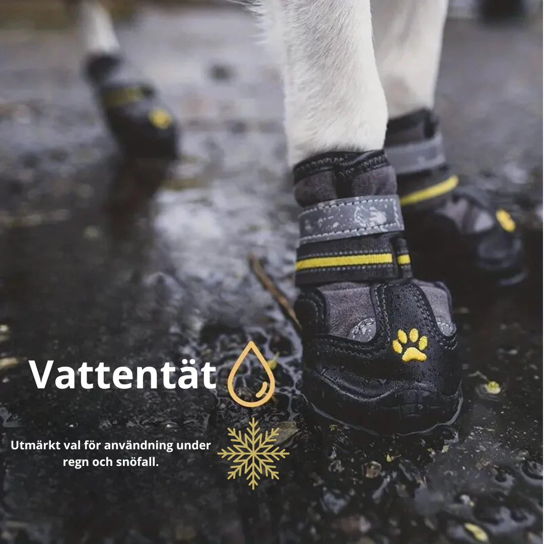 "Vattentäta hundskor med halkfri sula och reflekterande detaljer ger trygghet och stil för alla väderlekar."