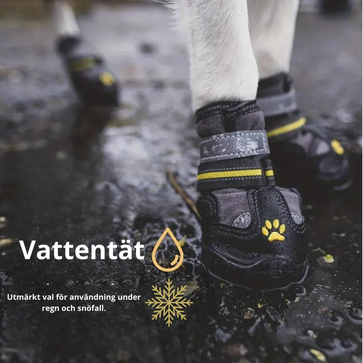 "Vattentäta hundskor med halkfri sula och reflekterande detaljer ger trygghet och stil för alla väderlekar."