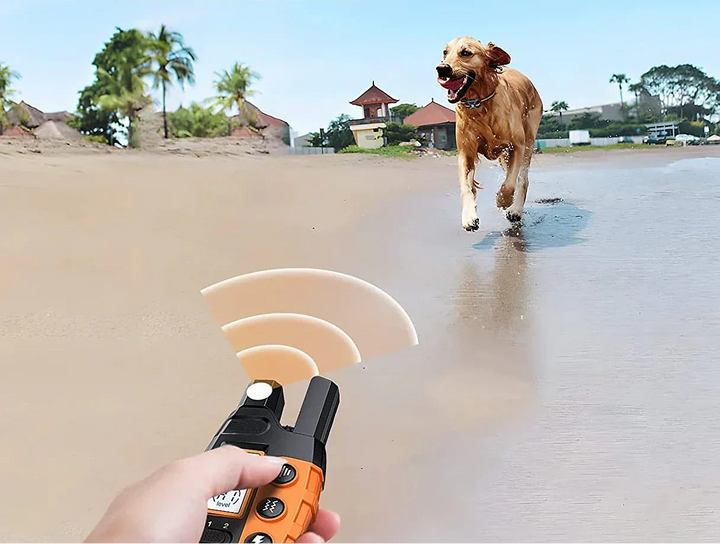 "Vattentätt hundträningshalsband med fjärrkontroll, justerbart för alla hundstorlekar, 1000m räckvidd, svart design."