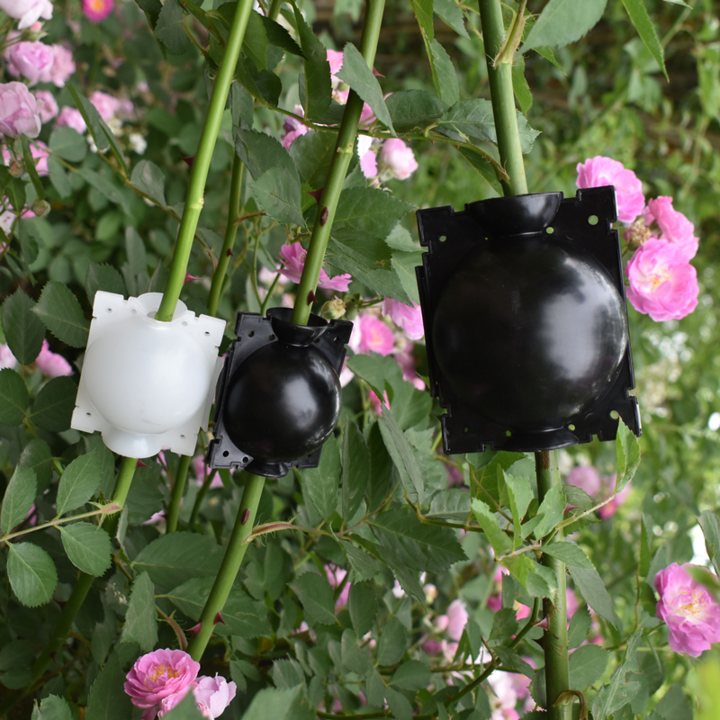 Växtförökningspod i svart och vit PP-plast för enkel och miljövänlig plantodling, perfekt för nybörjare och trädgårdsmästare.