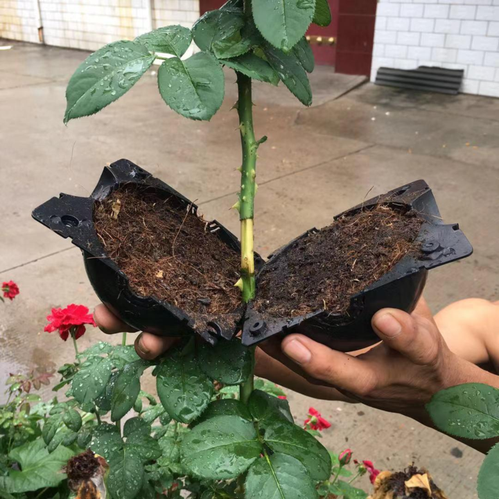 Växtförökningspod i svart och vit PP-plast för enkel och miljövänlig plantodling, perfekt för nybörjare och trädgårdsmästare.