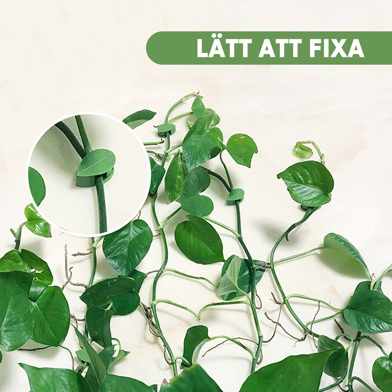 "Växtklättring fixeringsklämma, grön, enkel design, för väggar, stödjer klätterväxter, finns i set om 10, 30, 50 st."