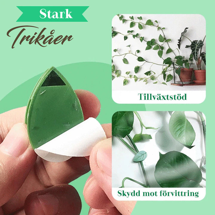 "Växtklättring fixeringsklämma, grön, enkel design, för väggar, stödjer klätterväxter, finns i set om 10, 30, 50 st."