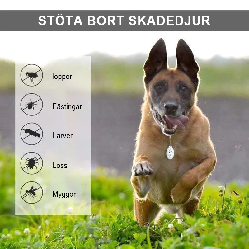 "Vit ultraljudsskyddsenhet för hundars och katters lopp- och fästingskydd, enkel att fästa på halsband, kemikaliefri."