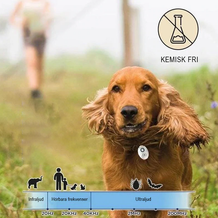 "Vit ultraljudsskyddsenhet för hundars och katters lopp- och fästingskydd, enkel att fästa på halsband, kemikaliefri."