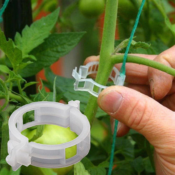 "Vita växtstödsklämmor i plast för trädgård, 7 cm långa, håller plantor upprätt och skyddar stjälkar, idealiska för tomater."
