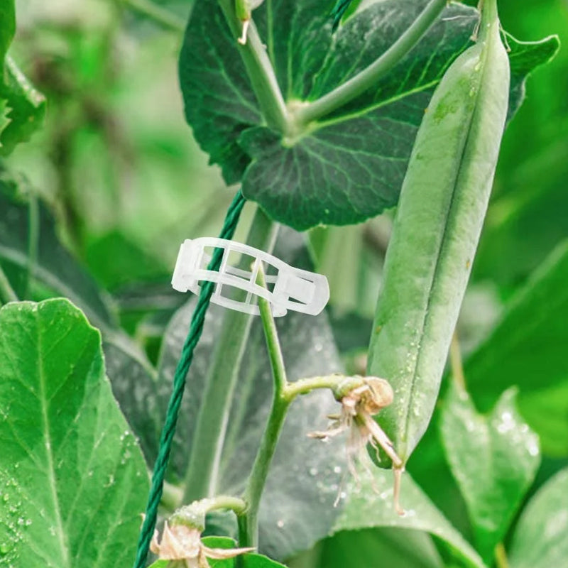 "Vita växtstödsklämmor i plast för trädgård, 7 cm långa, håller plantor upprätt och skyddar stjälkar, idealiska för tomater."