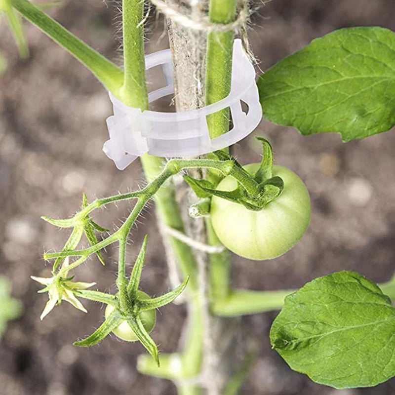"Vita växtstödsklämmor i plast för trädgård, 7 cm långa, håller plantor upprätt och skyddar stjälkar, idealiska för tomater."