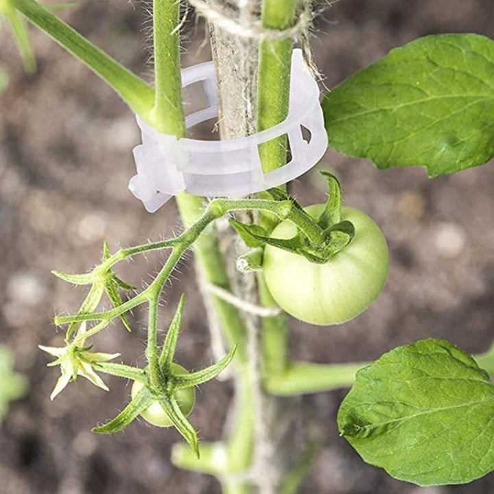 "Vita växtstödsklämmor i plast för trädgård, 7 cm långa, håller plantor upprätt och skyddar stjälkar, idealiska för tomater."