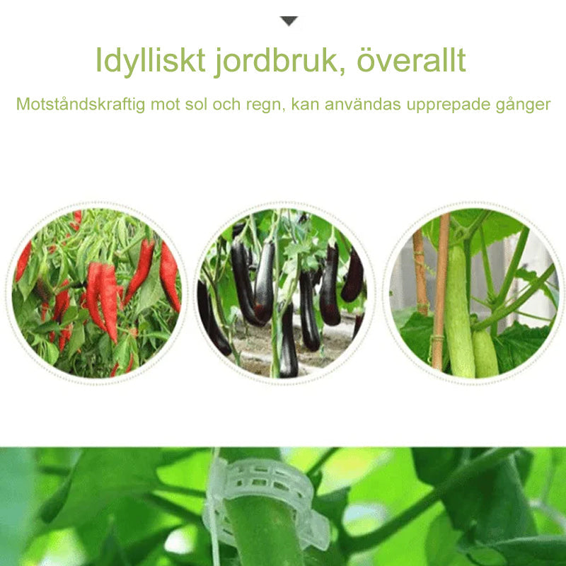 "Vita växtstödsklämmor i plast för trädgård, 7 cm långa, håller plantor upprätt och skyddar stjälkar, idealiska för tomater."