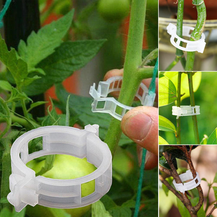 "Vita växtstödsklämmor i plast för trädgård, 7 cm långa, håller plantor upprätt och skyddar stjälkar, idealiska för tomater."